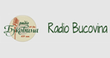 radiobucovina
